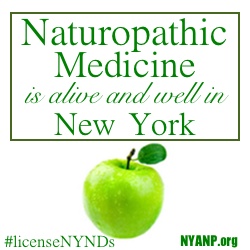 naturopathic doctor New York